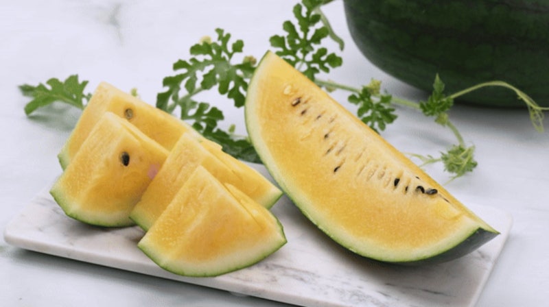 고창 블랙망고수박, 아어가지 농장 산지 직배송 (당도 · 특징 · 구매처 총정리)