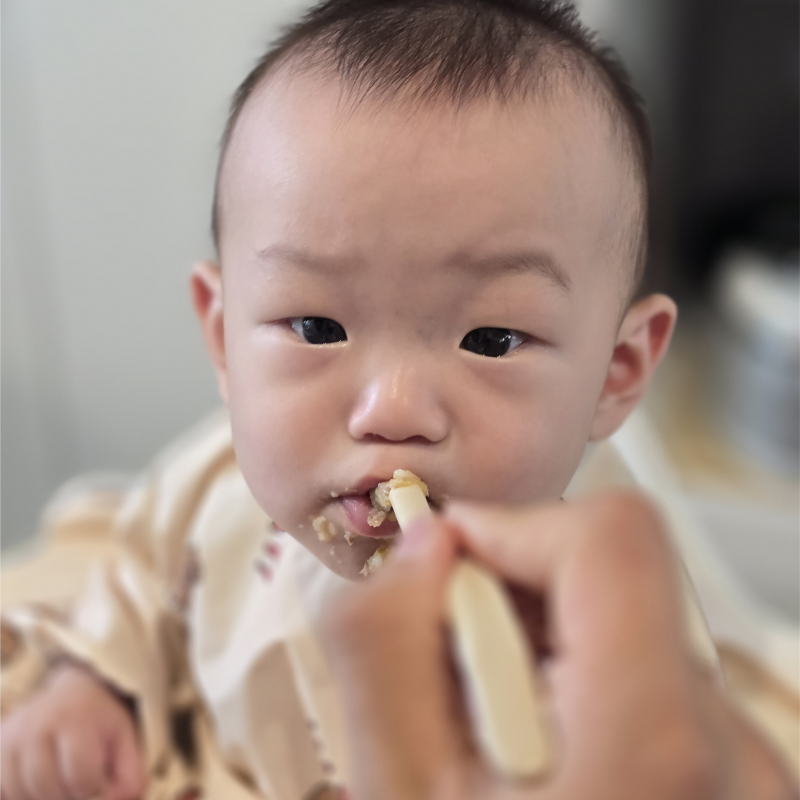 이유식 알러지테스트 종류 순서 시기 증상 총정리