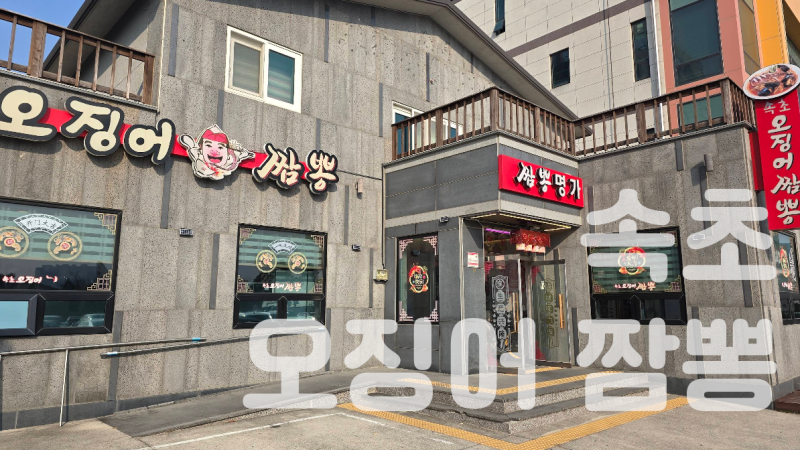 속초 오징어짬뽕 후기 | 13,000원에 오징어 한 마리가 통째로 나옵니다