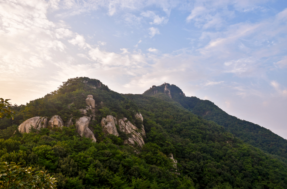 산으로 사진 4