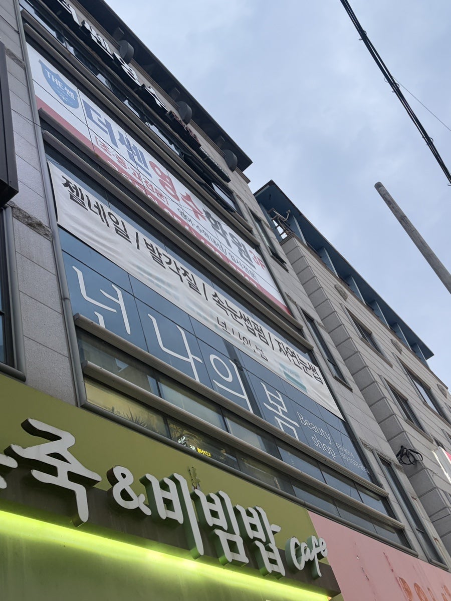 넌나의봄 사진 2