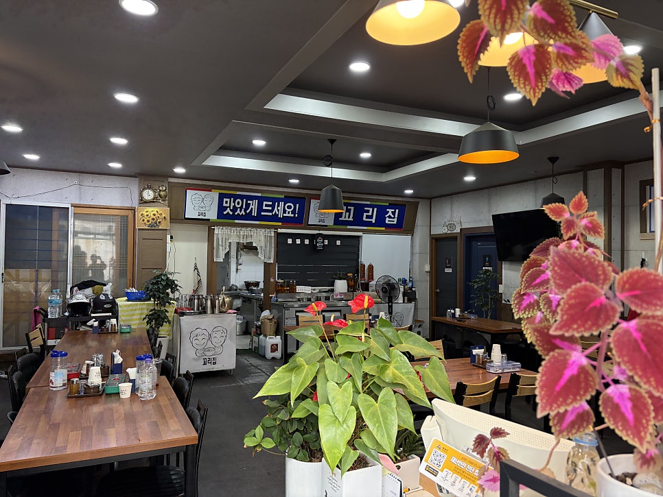 꼬리집 사진 4