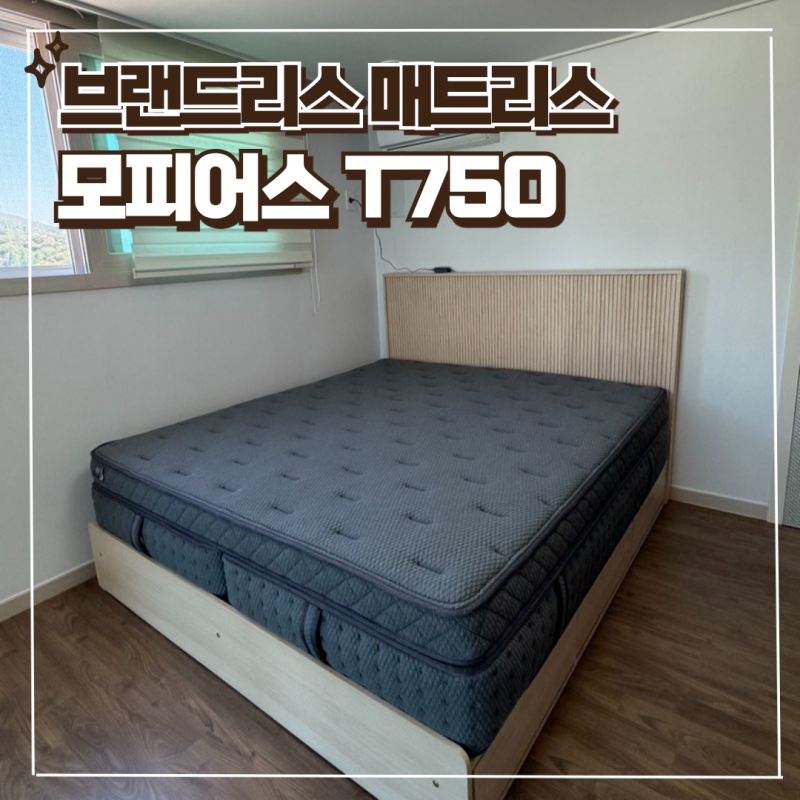 신혼 부부 매트리스 가성비 내돈내산 브랜드리스 모피어스 T750 라지킹 글로리아 프레임 메이....