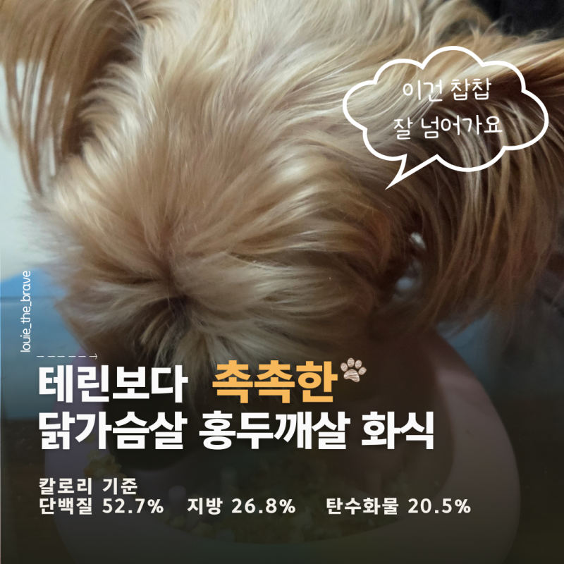강아지 화식 만들기, 닭 홍두깨살 자연식 죽 레시피