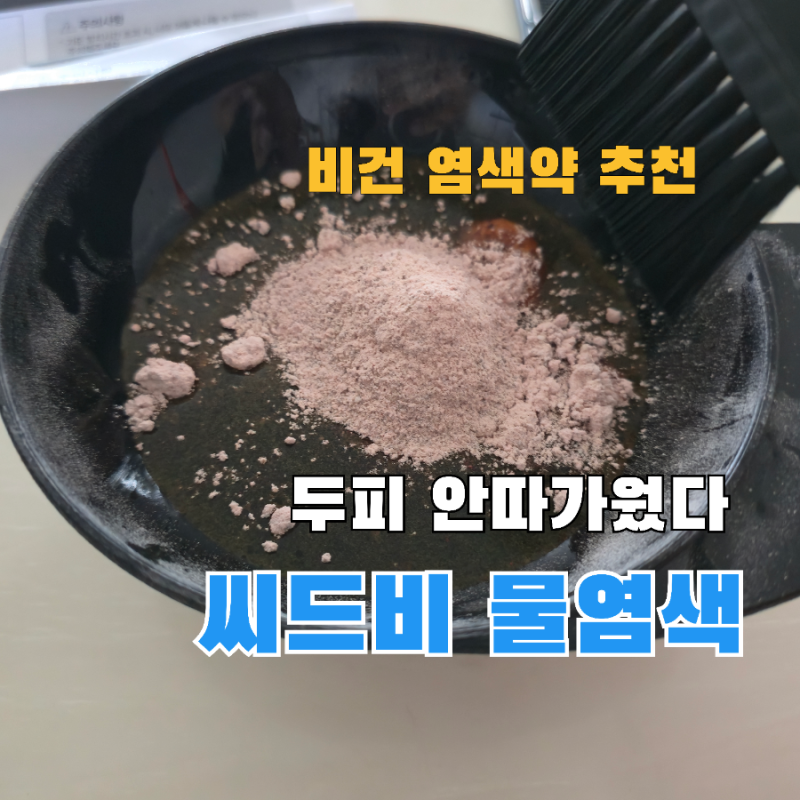 비건 염색약 씨드비 물염색 후기, 두피 가려움 없이 새치 커버