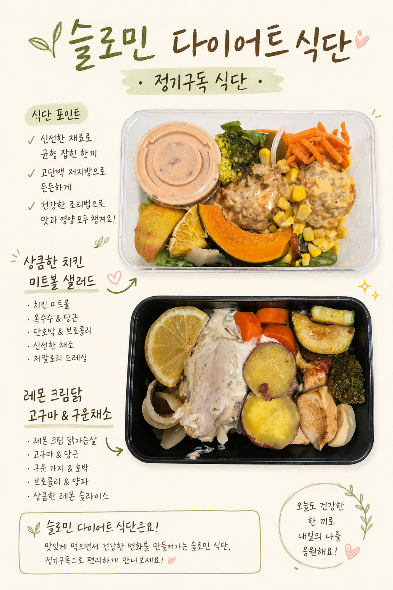 대구샐러드정기배송 슬로밀 다이어트식단 단백질도시락 제품후기