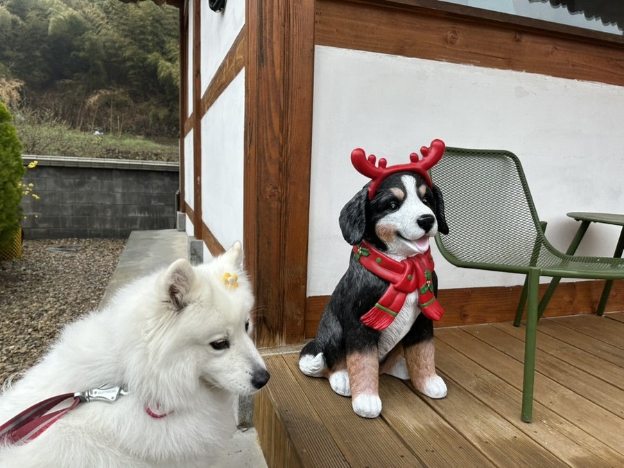 한옥우연 사진 5
