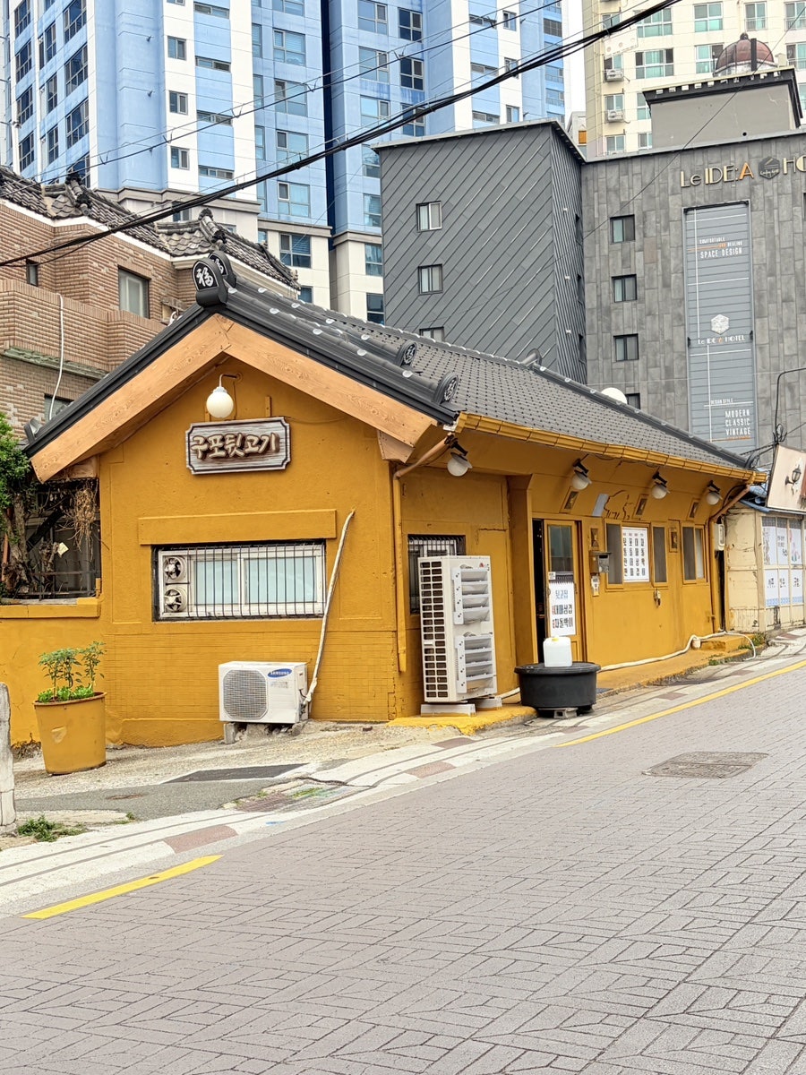뒷고집 사진 2