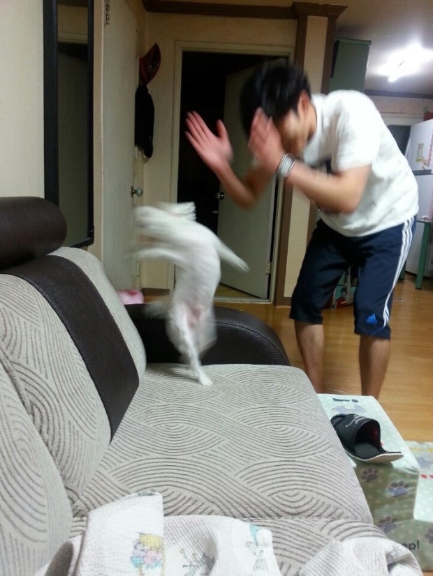 Bossampaneunteureoksamchon photo 5