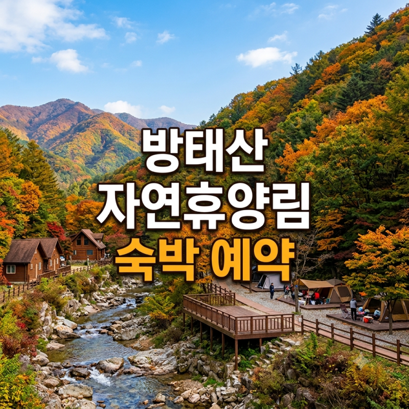 방태산 자연휴양림 숙박 총정리(신축 캐빈, 연립동, 계곡 앞 캠핑장, 야영데크, 예약 방법 안....