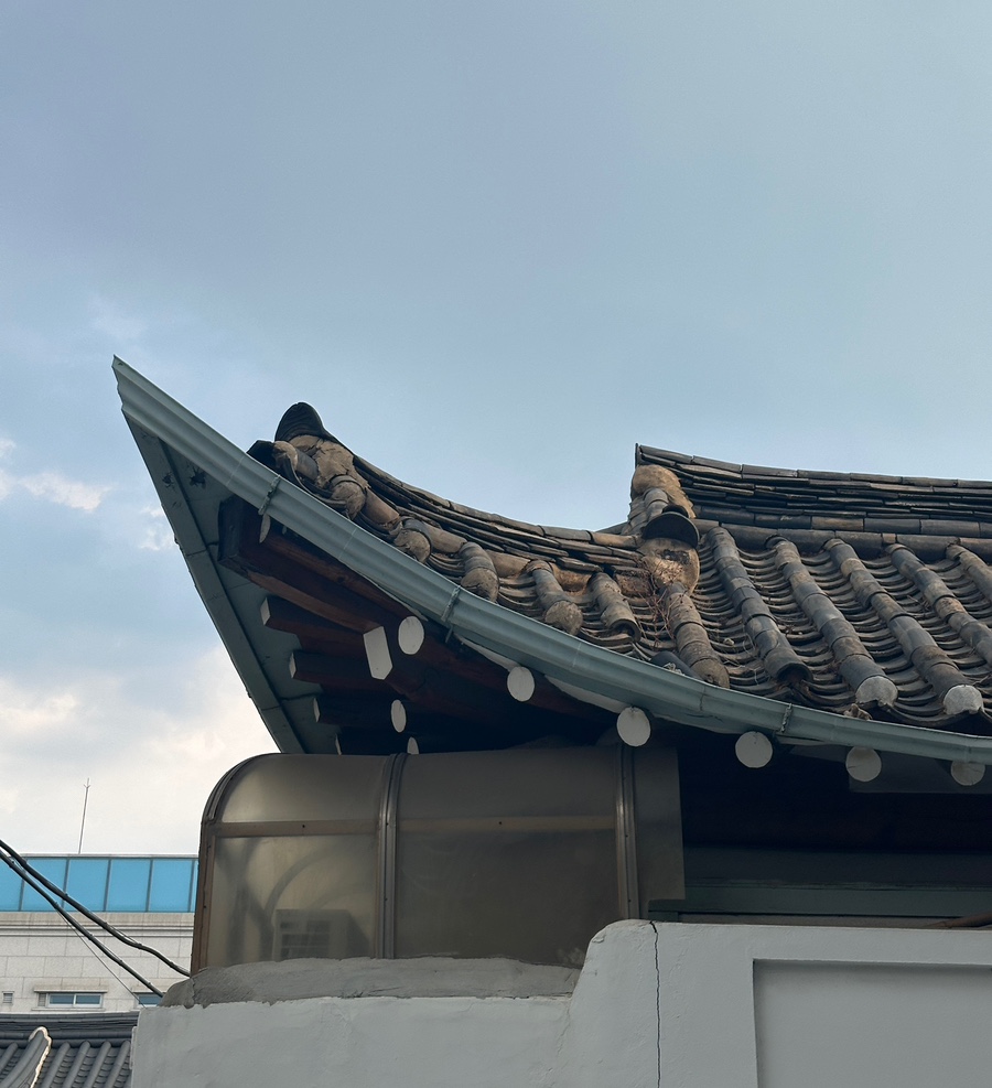 델리노쉬 사진 3