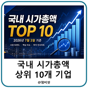국내주식 시가총액 순위 TOP 10 : 연초 대비 상승률과 투자자가 알아야 할 시사점
