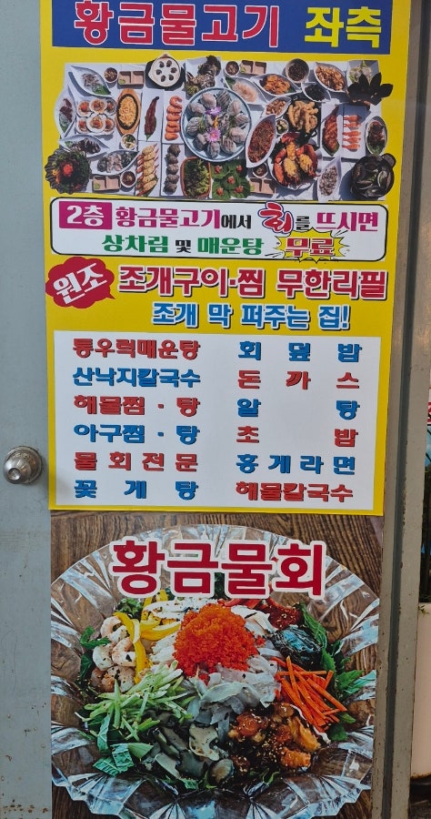 황금물고기 사진 1