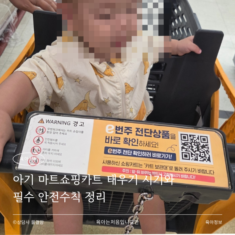 아기 마트쇼핑카트 태우기 시기와 필수 안전수칙 정리
