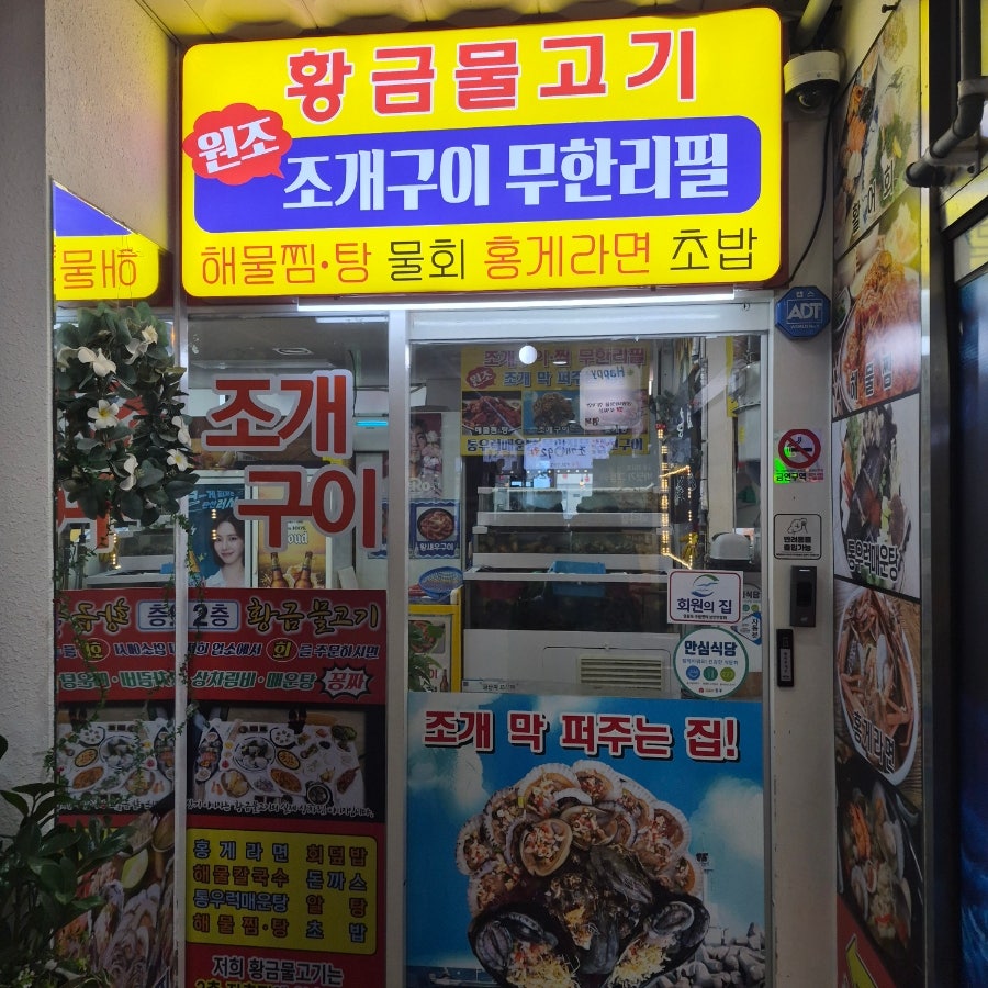 황금물고기 사진 3