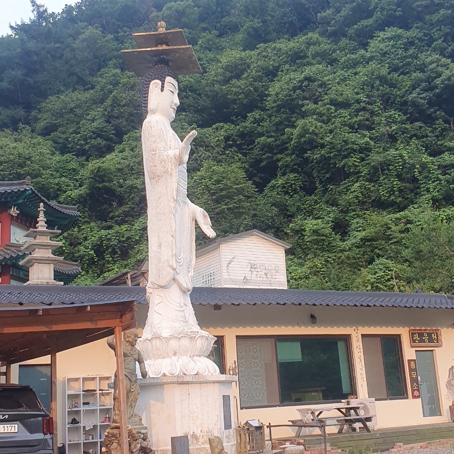 운악산칼국수 사진 3