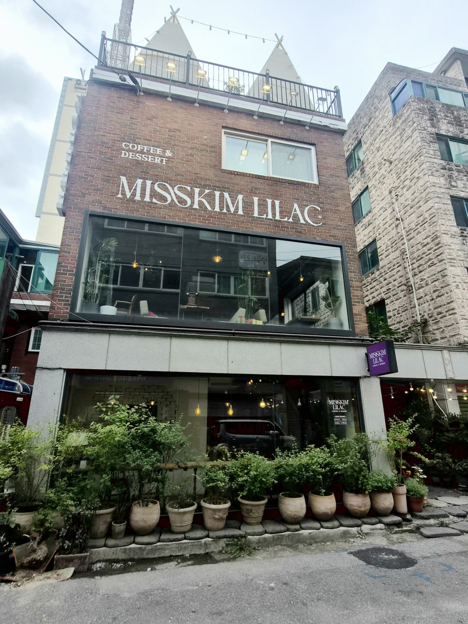 미스김라일락 사진 1
