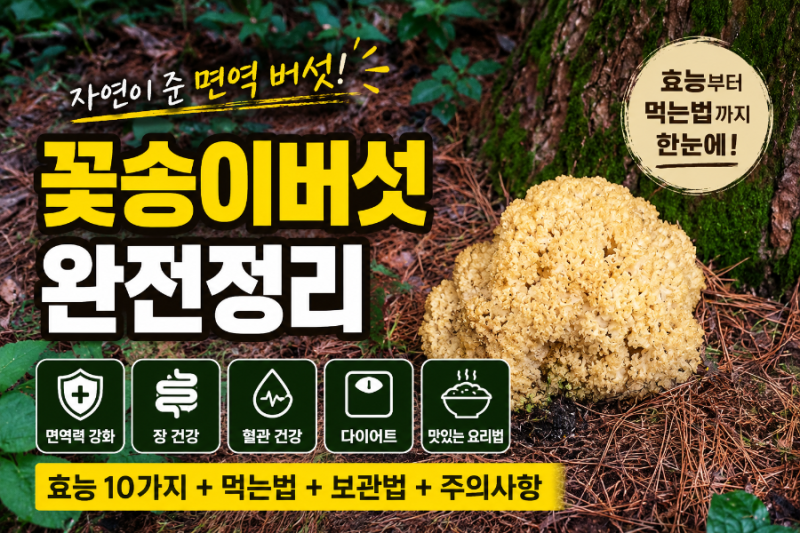 꽃송이버섯 효능 및 먹는법 정확히 알자