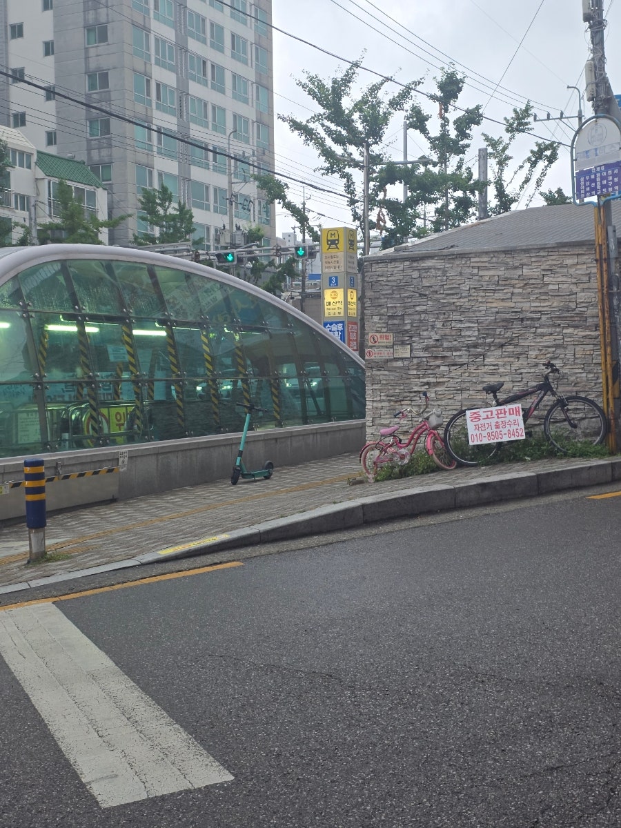 배산정 사진 2