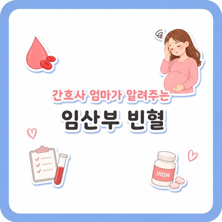 임신 중 빈혈, 철분 부족 원인, 액상 철분제 추천(볼그레 처방 가격)