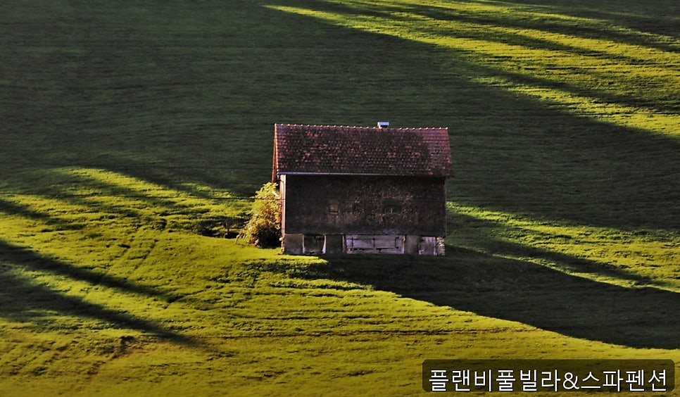 작은숲 사진 3