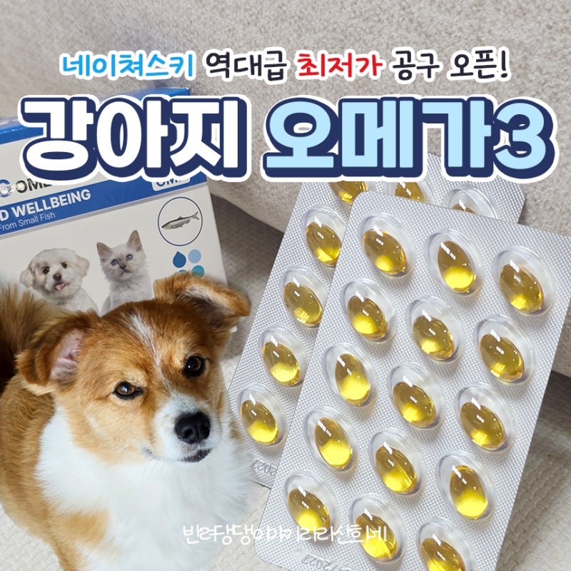 [역대급 공구] 강아지 오메가3 추천 네이쳐스키 최저가 오픈
