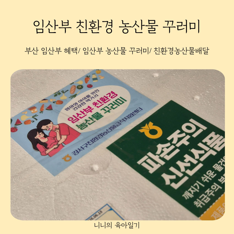 부산 임산부 혜택 친환경 농산물꾸러미 신청방법부터 주문 배송받아본 후기