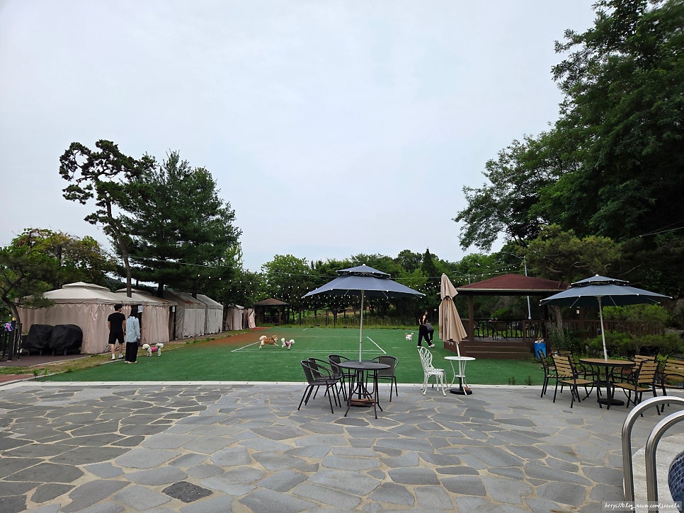해그린 베이커리카페 사진 5