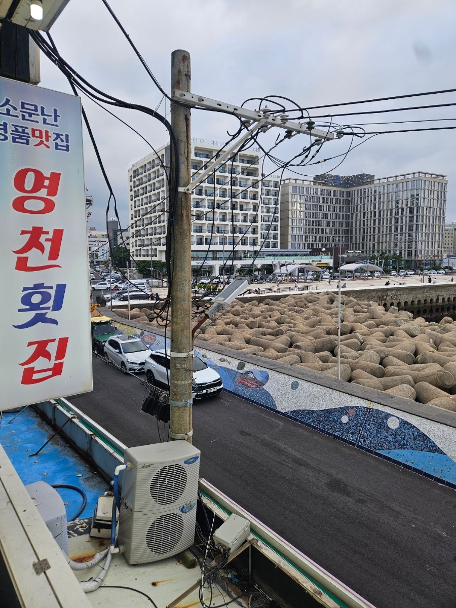영천횟집 사진 3