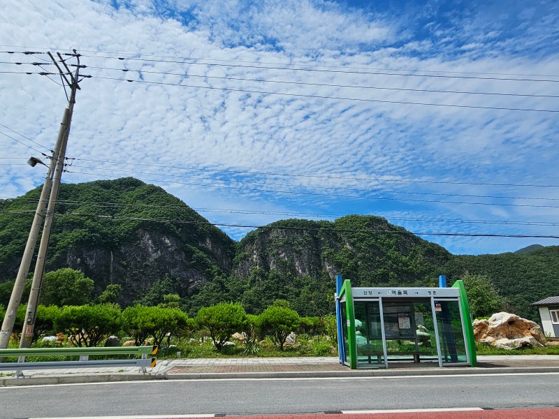 소백산 국립공원 남천야영장-난생 처음 벌레를 피해 조기철수