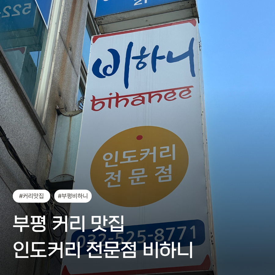 비하니 사진 1