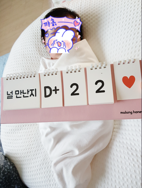 태아보험순위비교 사이트 다이렉트 사은품 가입시기 총정리(db, 메리츠화재, 현대해상, kb, 삼....