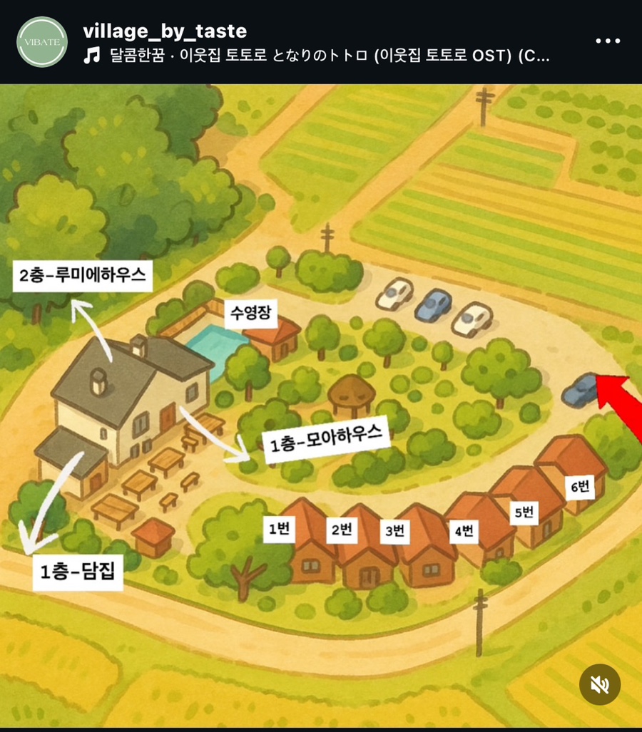 비바테 사진 3