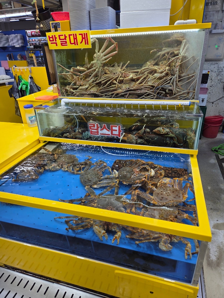 형제수산 사진 4
