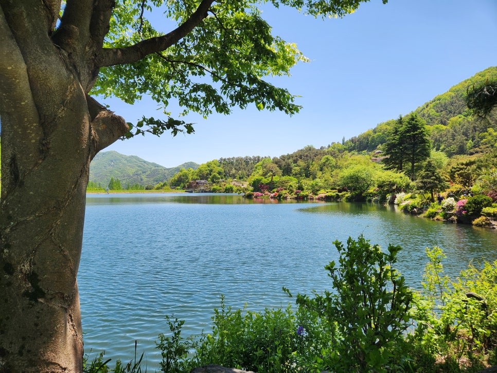 하늘물빛정원 실내식물원 사진 2