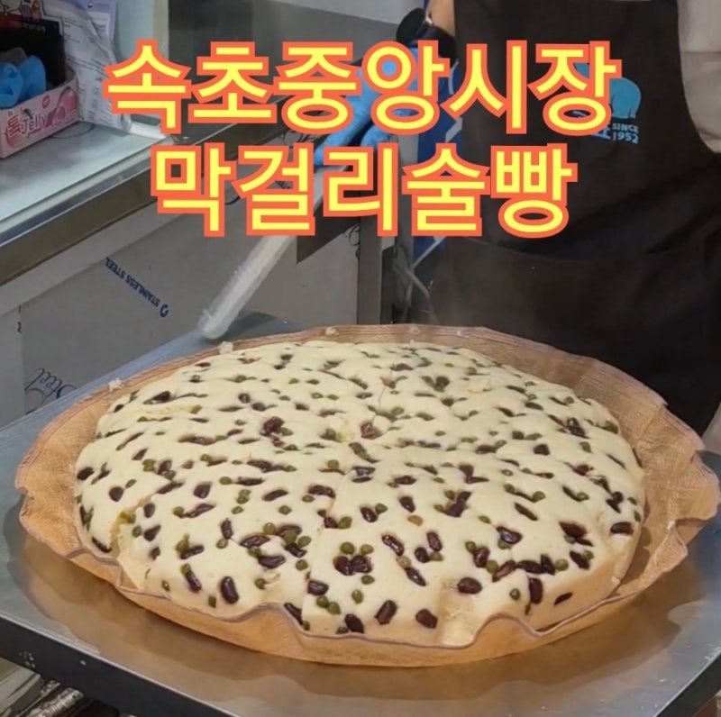 속초 중앙시장 강원도 막걸리술빵 냉동 보관 얼빵 (2호점도 찍어옴)