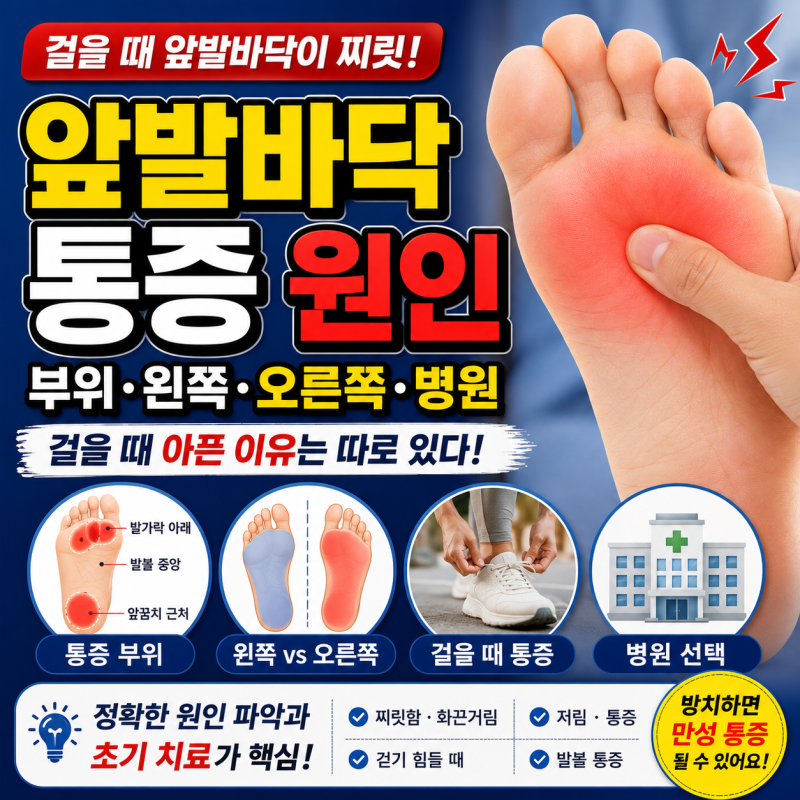 앞발바닥 통증 원인, 왼쪽·오른쪽 부위별 증상과 병원
