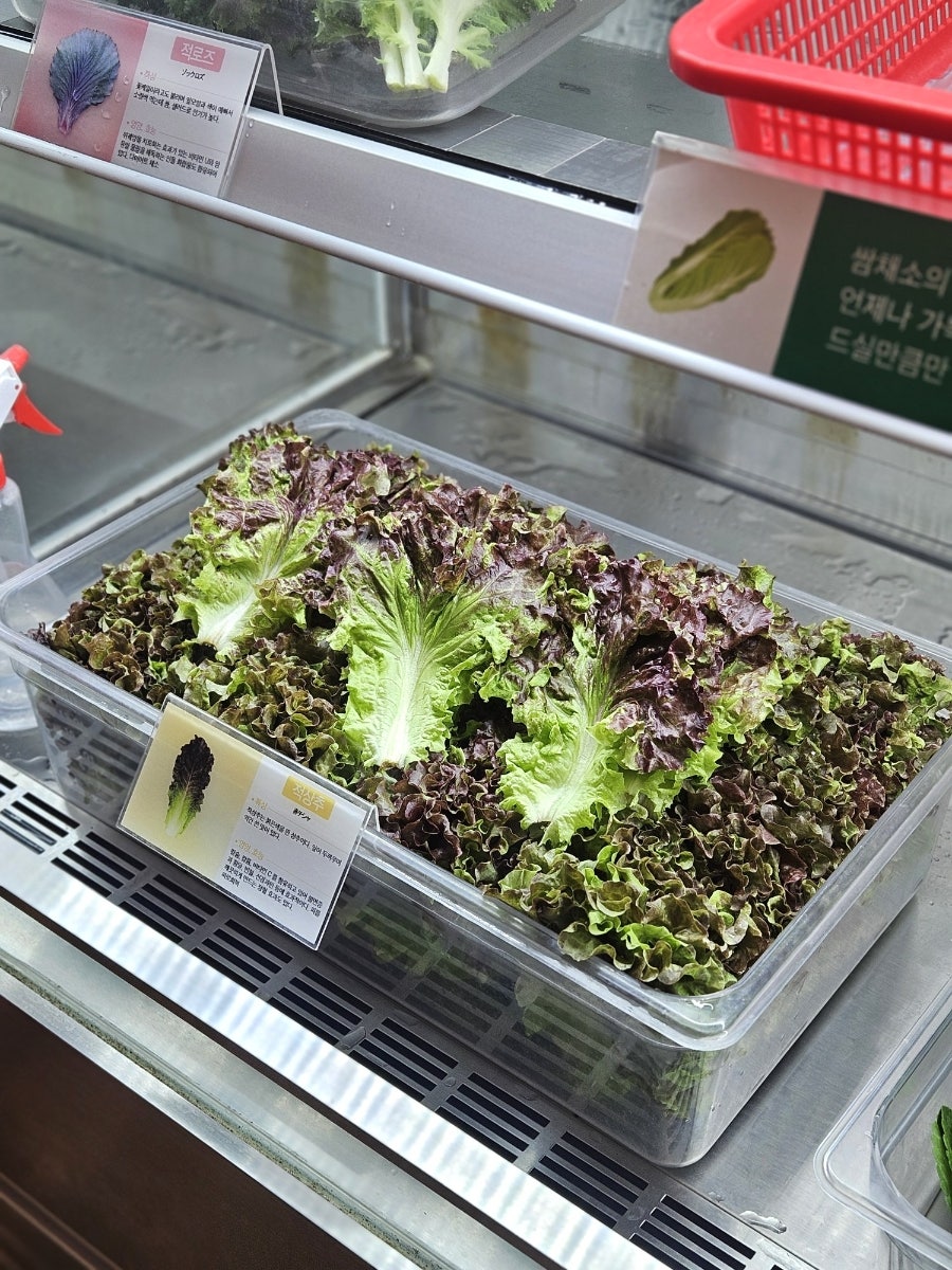 다채 동빙고점 사진 5