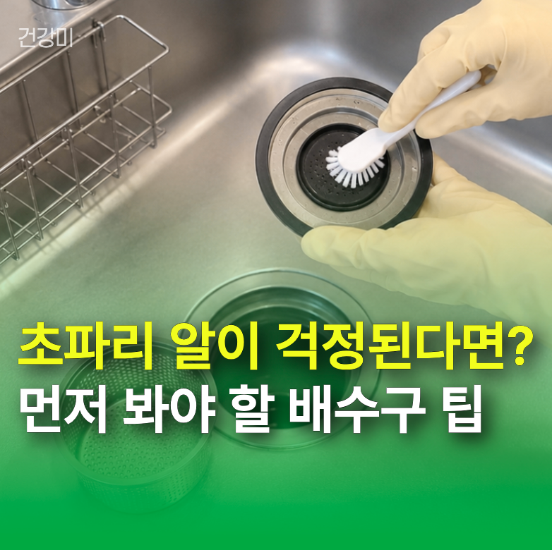 초파리 알까지 걱정된다면? 다이소 식초 트랩 만들기보다 먼저 봐야 할 배수구 팁