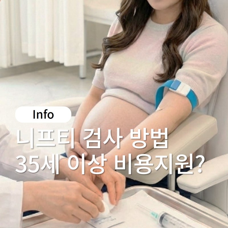 니프티검사 방법 검사항목 및 시기 비용 지원, 만35세이상 꼭 해야할까?