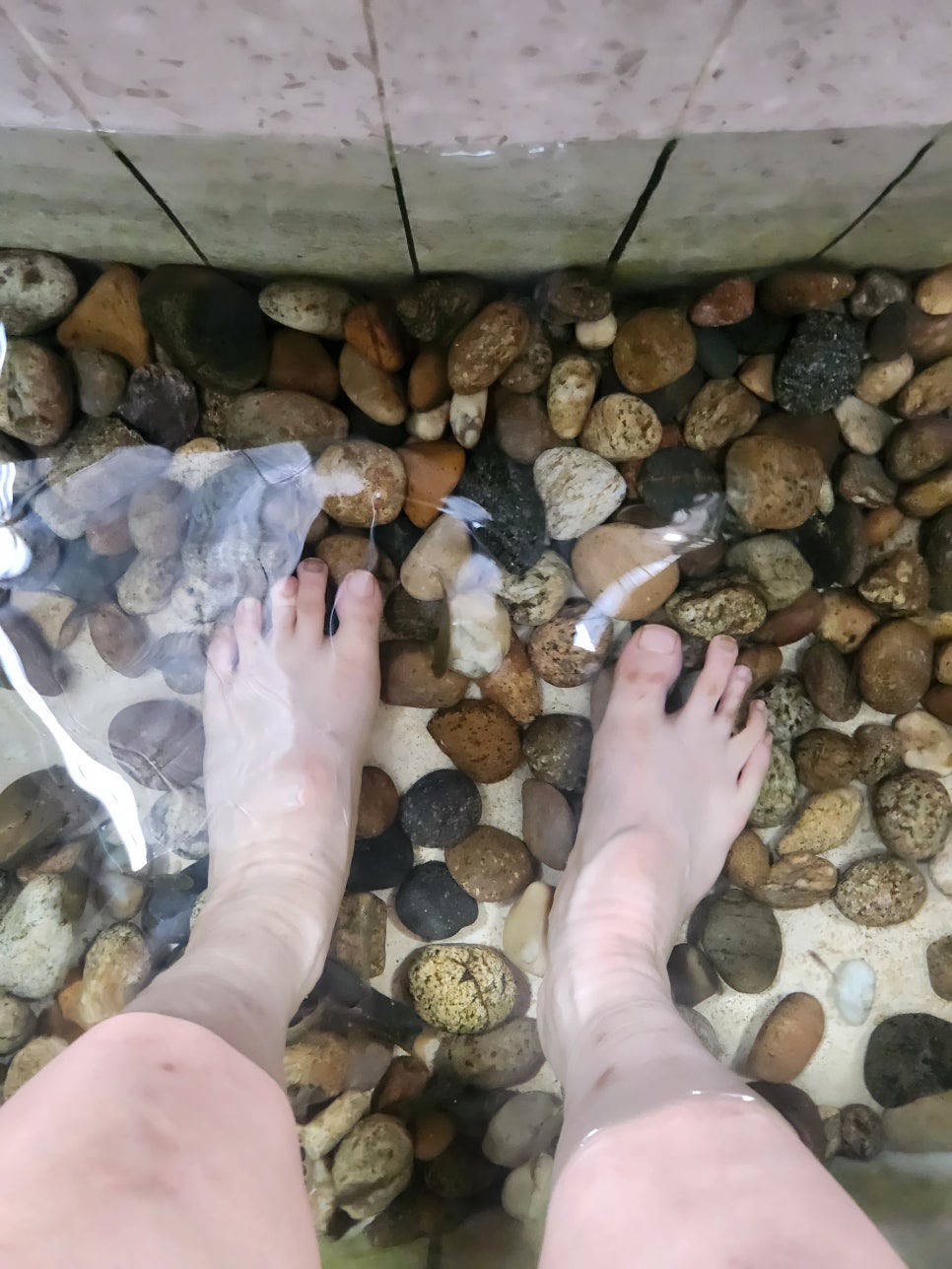 봉평메밀 사진 5