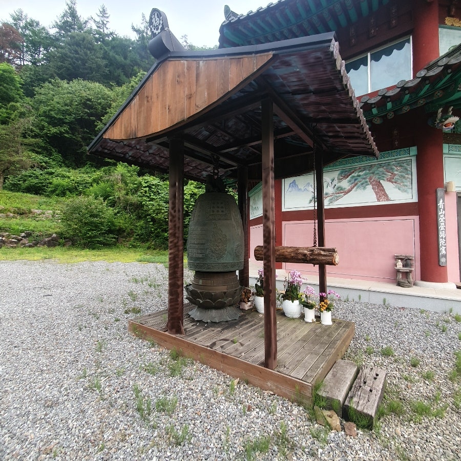 운악산칼국수 사진 6
