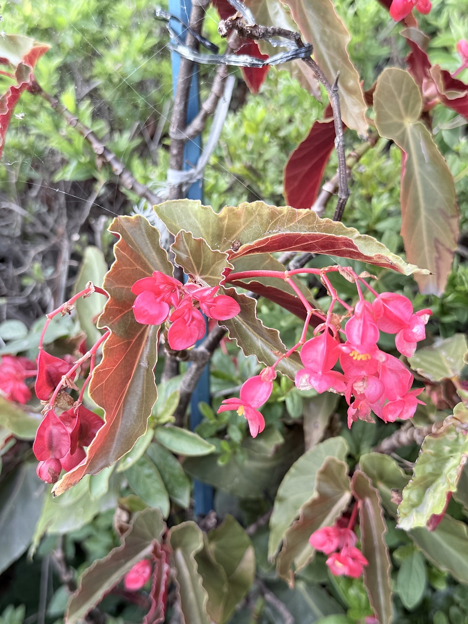 산내들가든 사진 3