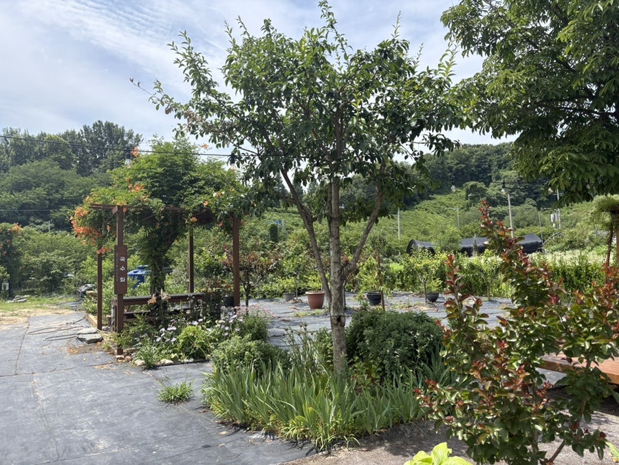 국수화 남동구본점 사진 4
