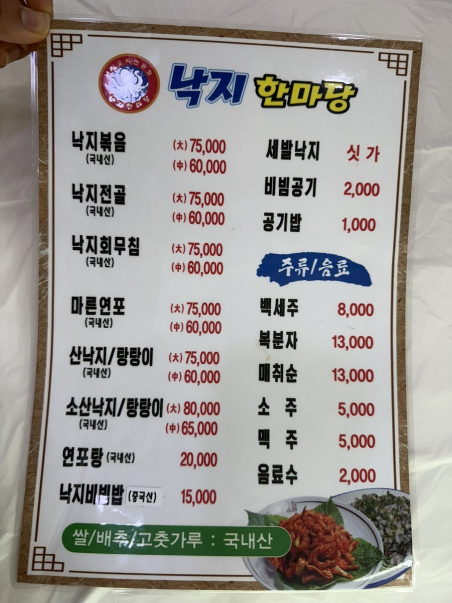 낙지한마당 사진 5