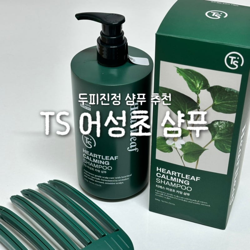 TS 어성초 샴푸 추천 및 후기 두피진정, 저자극 사용감
