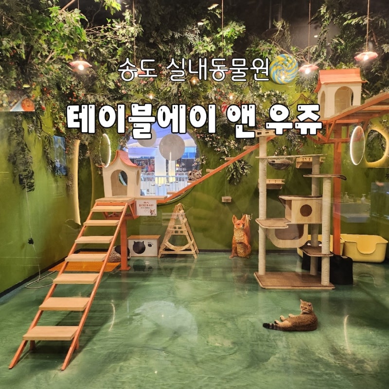 인천송도가볼만한곳 아이랑 실내동물원 ㅣ테이블에이 앤 우쥬