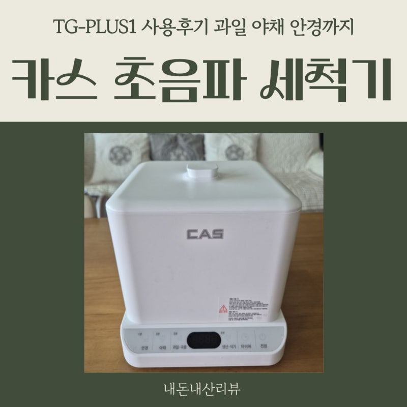 카스 초음파세척기 TG-PLUS1 사용후기 과일 야채 안경까지 세척가능