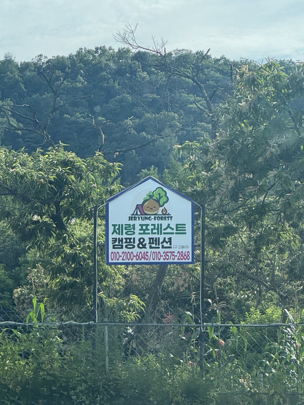 제령포레스트펜션&캠핑장 사진 1