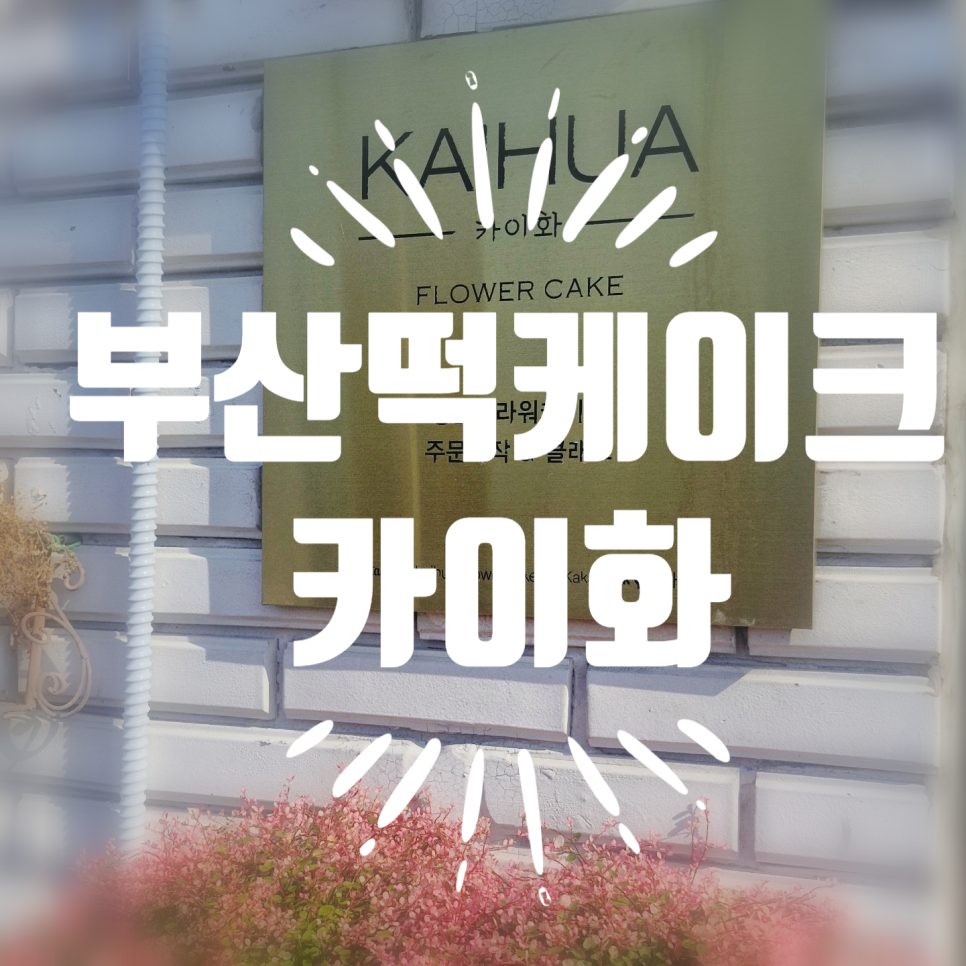 카이화 사진 1